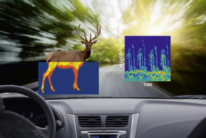 Read more about the article 【宏虹案例】帶您了解 Spectrum digitizer在道路雷達偵測野生動物中的應用