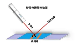 時間分辨