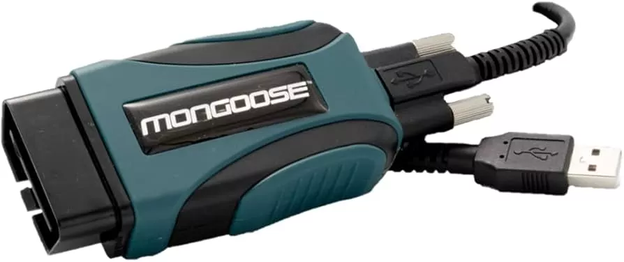 Mongoose