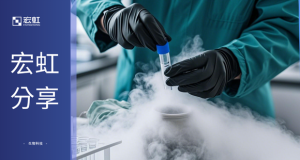 Read more about the article 宏虹分享 | 細胞凍存不再依賴液態氮？這款程序降溫儀給出答案