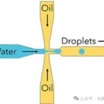 【宏虹乾貨】宏虹Cellix 微流控液滴生成技術指南｜原理、設備配置與常見問題解析